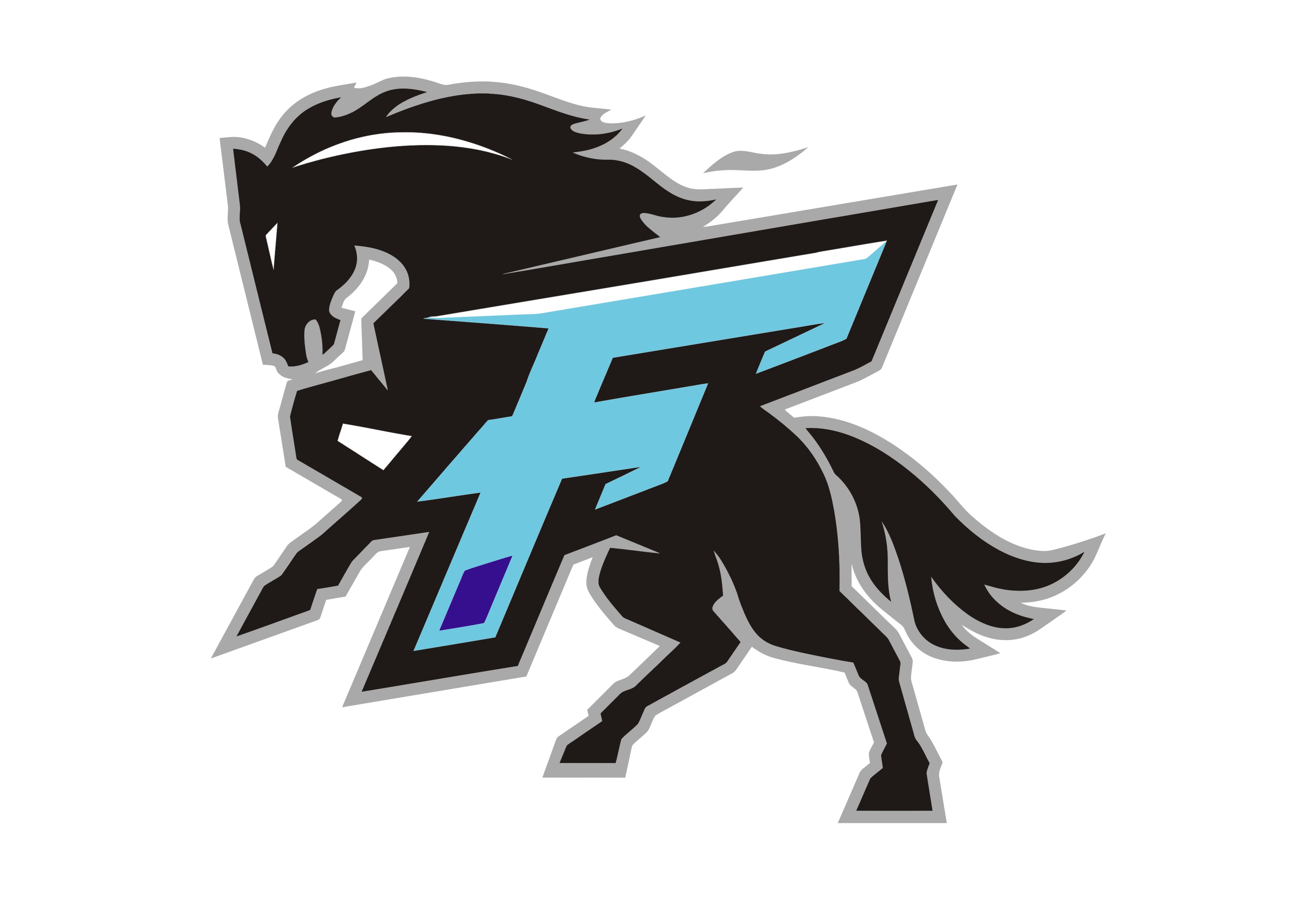 Fury Lacrosse site by RAMP InterActive